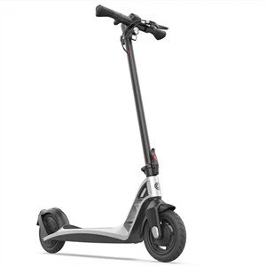 Scútar Éicea Leictreach